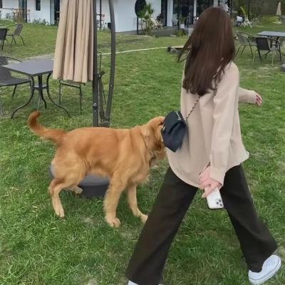 无理之人